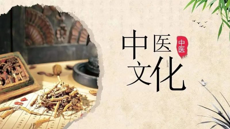 阿胶膏方与龟鹿膏方：养生之选，注意这几点**